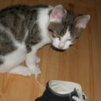 Photo de profil de Cacahuète