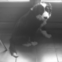 Photo de profil de Eden