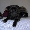 Photo de Pilou