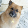 Photo de Louna