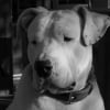 Photo de Spike
