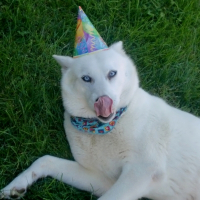 Photo de profil de Alaska