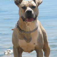 Photo de profil de Keïnn