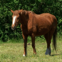 Photo de profil de Tendre