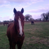 Photo de Eldric