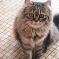 Photo de profil de Lola