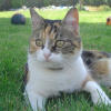 Photo de Bobine 