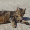 Photo de Tite mimie