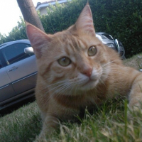 Photo de profil de Vickie