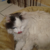 Photo de Zoé