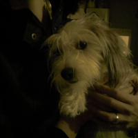 Photo de profil de Zelda