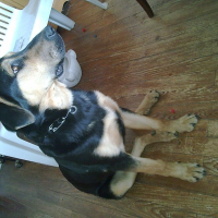 Photo de profil de Zouzou