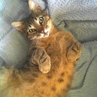 Photo de profil de Kushina