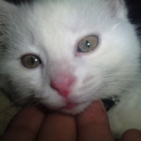 Photo de profil de Titi