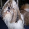 Photo de Junior