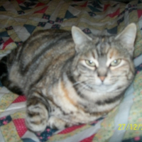 Photo de profil de Tina