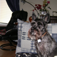 Photo de profil de Cindy