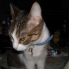 Photo de Luna 