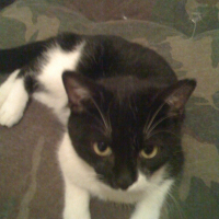 Photo de profil de Eliot