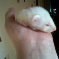 Photo de profil de Bounty