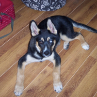 Photo de profil de Cracos
