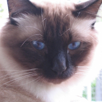 Photo de profil de Even
