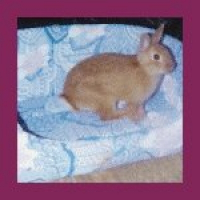 Photo de profil de Maxou