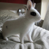 Photo de Jafar