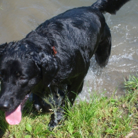 Photo de profil de Léon
