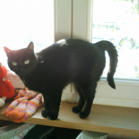 Photo de profil de Lola