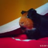 Photo de Arthur(lady)