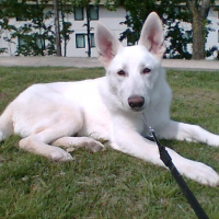Photo de profil de Demon