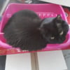 Photo de Ketty