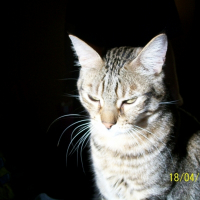 Photo de profil de Bazook