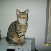 Photo de profil de Elvira