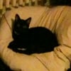 Photo de Maxou