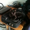 Photo de Salem