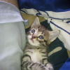 Photo de Moncky