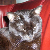 Photo de profil de Rustine
