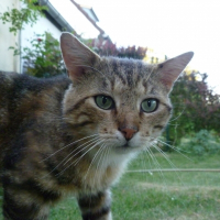 Photo de profil de Youki