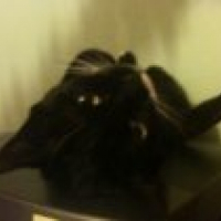 Photo de profil de Prisca