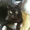 Photo de Pirate