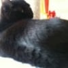 Photo de Clio