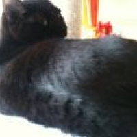 Photo de profil de Clio