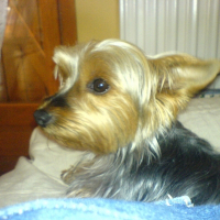 Photo de profil de Tess