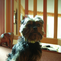 Photo de profil de Charly