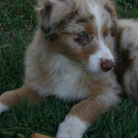 Photo de profil de Fleur