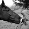 Photo de Ondine