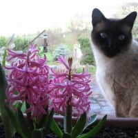 Photo de profil de Léo