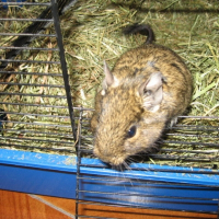 Photo de profil de Luna